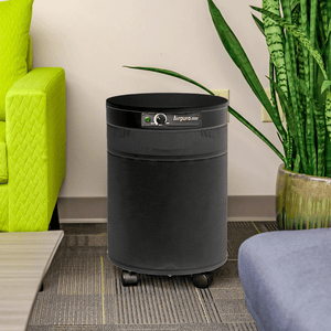 Airpura I600 Air Purifier for Dust & Seasonal Allergies