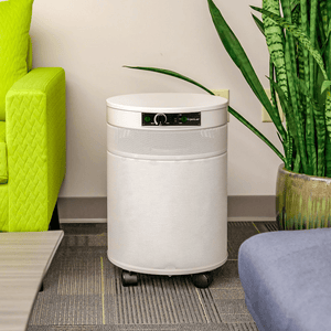 Airpura P600 TitanClean Air Purifier for Pathogens, Mold & Chemicals