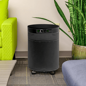 Airpura P600 TitanClean Air Purifier for Pathogens, Mold & Chemicals