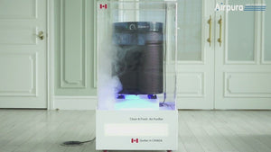 Airpura P700 Air Purifier for VOCs & Chemicals - Fitness Recovery Lab