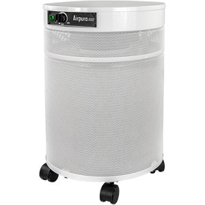 Airpura R600 All-Purpose Air Purifier For Home