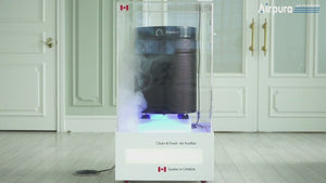 Airpura R714 Air Purifier for Airborne Chemicals and Particles
