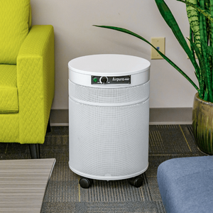 Airpura V600 Home Air Purifier for Volatile Organic Compounds