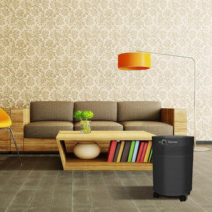 Airpura V600 Home Air Purifier for Volatile Organic Compounds - Fitness Recovery Lab